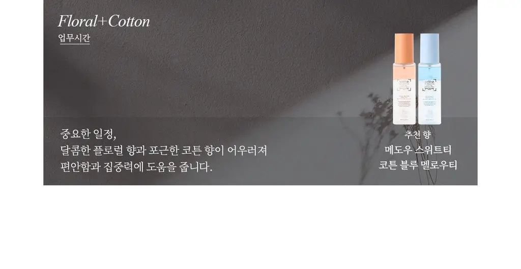 [올영1위향수] 티블레스 퍼퓸/오일퍼퓸/퍼퓸 헤어&바디미스트 9종 중 택 1 상세페이지 76